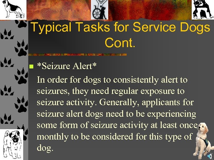 Typical Tasks for Service Dogs Cont. n *Seizure Alert* In order for dogs to