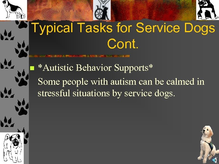 Typical Tasks for Service Dogs Cont. n *Autistic Behavior Supports* Some people with autism