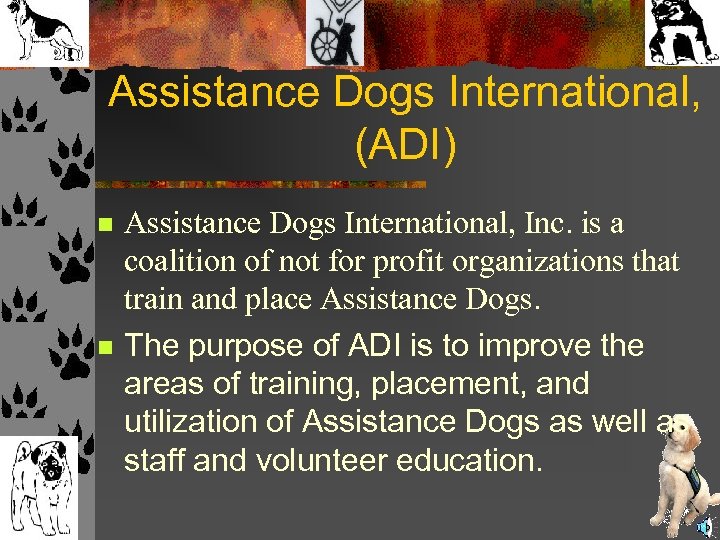Assistance Dogs International, (ADI) n n Assistance Dogs International, Inc. is a coalition of