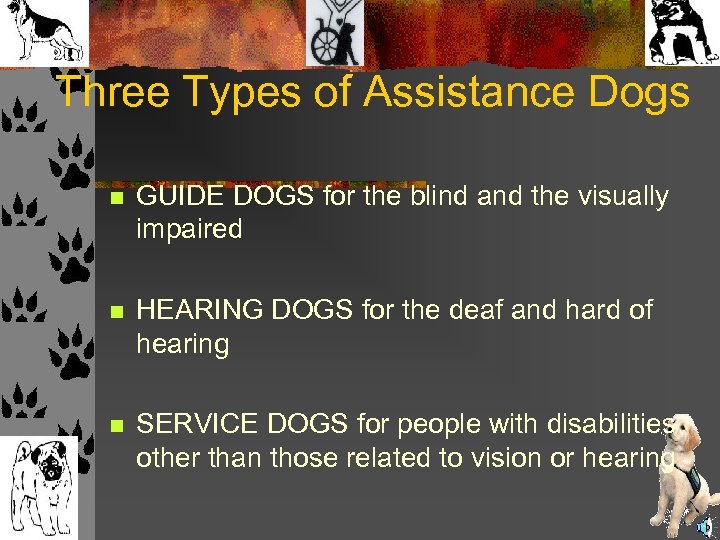 Three Types of Assistance Dogs n GUIDE DOGS for the blind and the visually