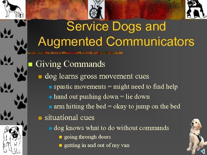 Service Dogs and Augmented Communicators n Giving Commands n dog learns gross movement cues