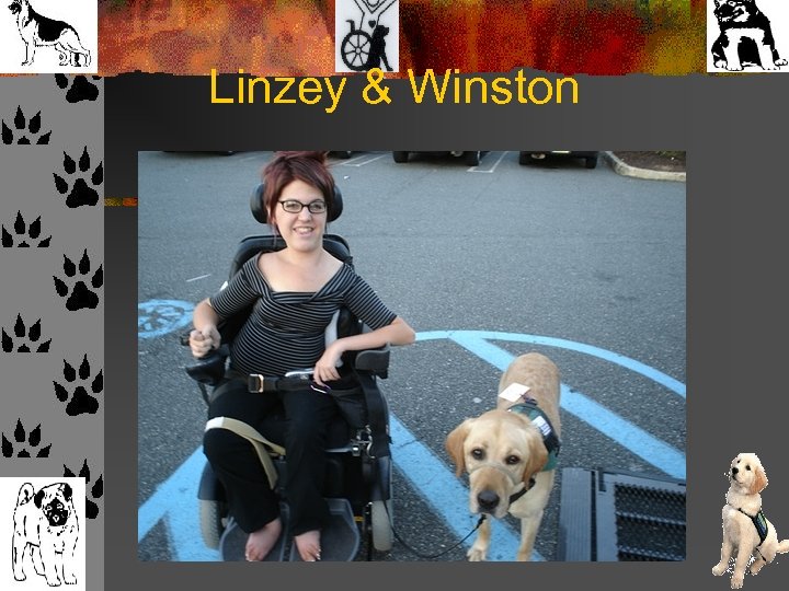 Linzey & Winston 