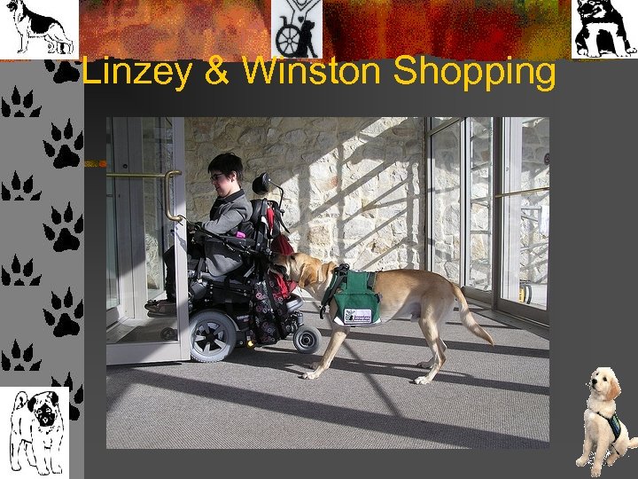 Linzey & Winston Shopping 