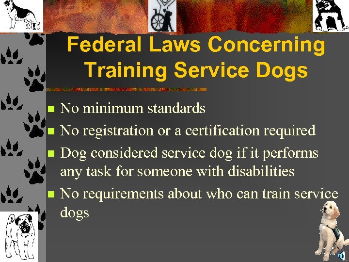 Federal Laws Concerning Training Service Dogs n n No minimum standards No registration or