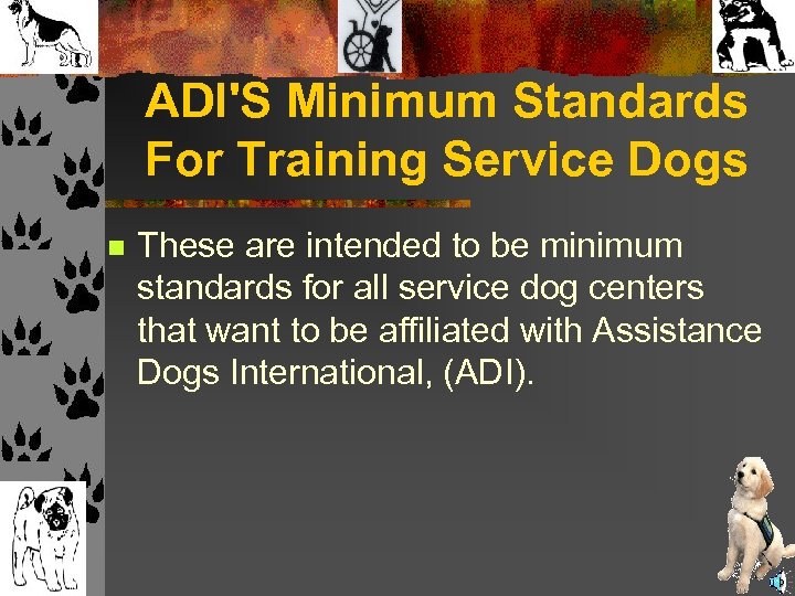 ADI'S Minimum Standards For Training Service Dogs n These are intended to be minimum