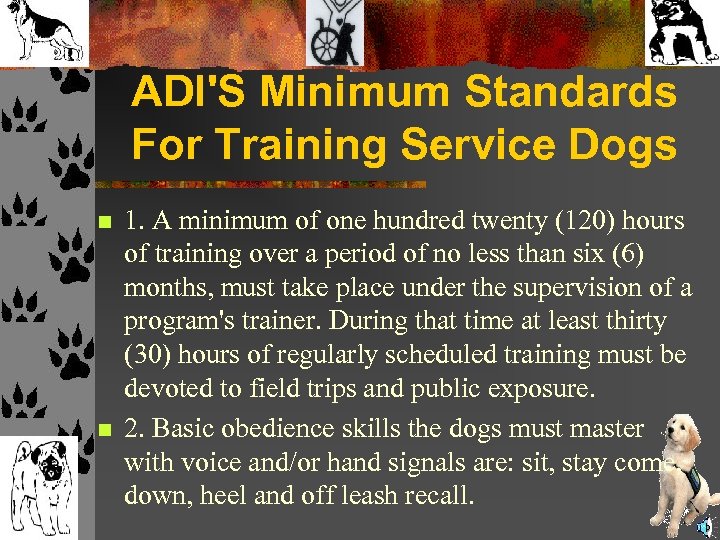 ADI'S Minimum Standards For Training Service Dogs n n 1. A minimum of one