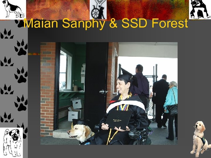 Maian Sanphy & SSD Forest 