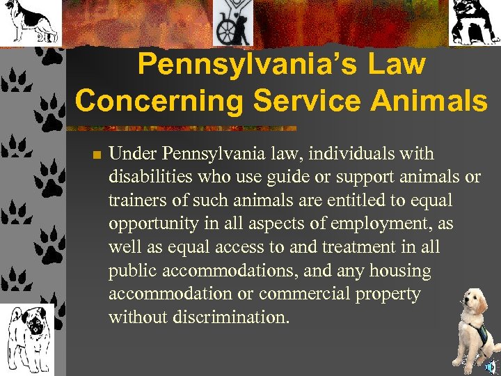 Pennsylvania’s Law Concerning Service Animals n Under Pennsylvania law, individuals with disabilities who use