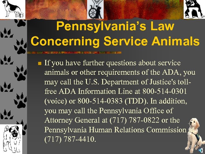 Pennsylvania’s Law Concerning Service Animals n If you have further questions about service animals
