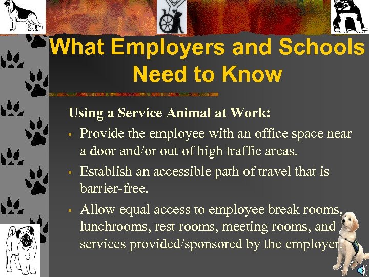 What Employers and Schools Need to Know Using a Service Animal at Work: •