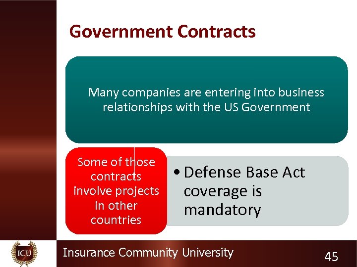 Government Contracts Many companies are entering into business relationships with the US Government Some