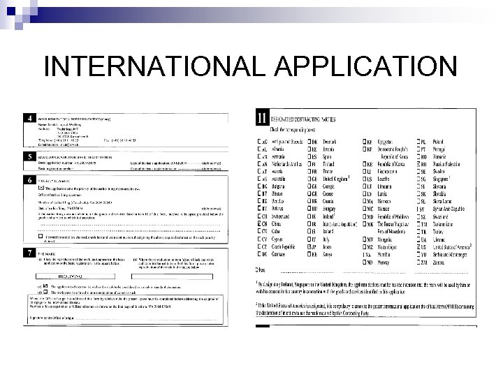 INTERNATIONAL APPLICATION 