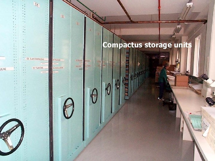 Compactus storage units 