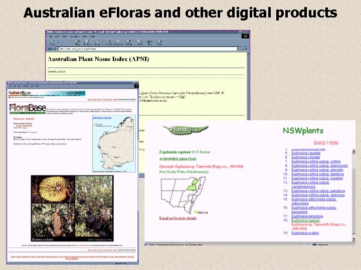 Australian e. Floras and other digital products 