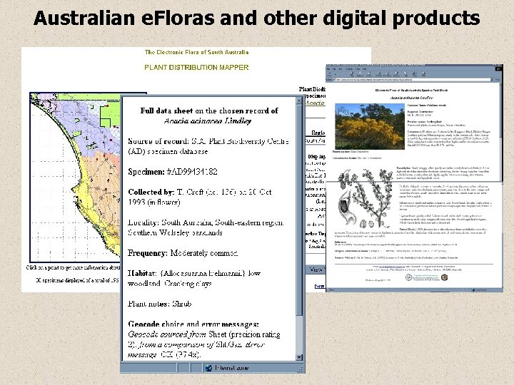 Australian e. Floras and other digital products 