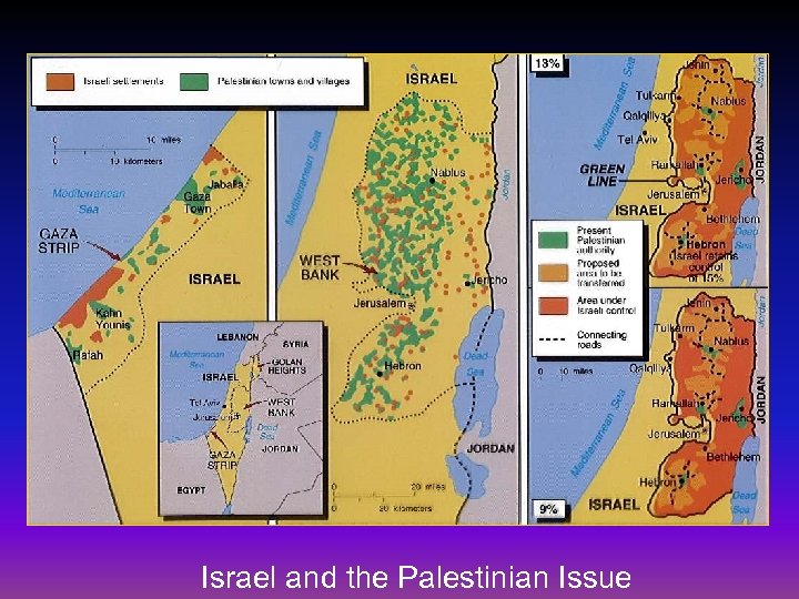 Israel and the Palestinian Issue 