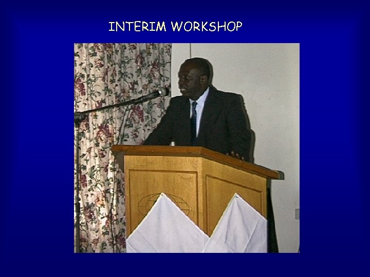 INTERIM WORKSHOP 