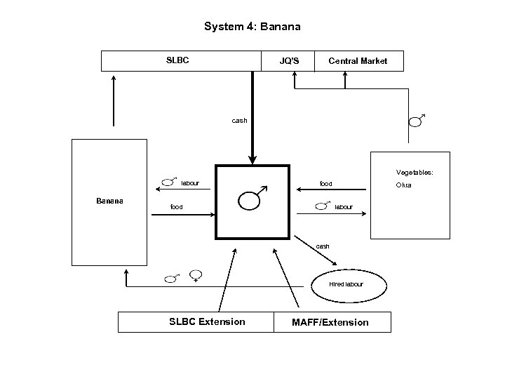 System 4: Banana SLBC JQ’S Central Market cash Vegetables: labour Banana food Okra labour