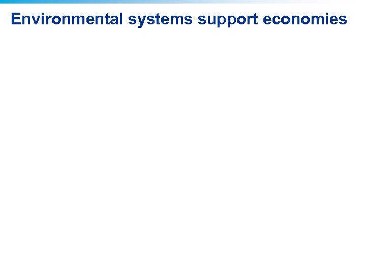 Environmental systems support economies 