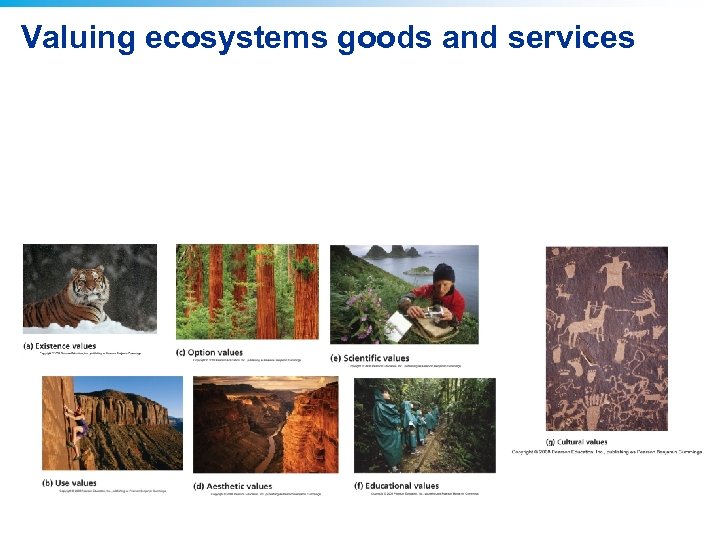 Valuing ecosystems goods and services 