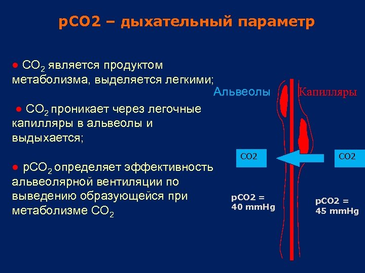 p. CO 2 – дыхательный параметр ● CO 2 является продуктом метаболизма, выделяется легкими;