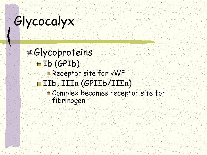 Glycocalyx Glycoproteins Ib (GPIb) Receptor site for v. WF IIb, IIIa (GPIIb/IIIa) Complex becomes