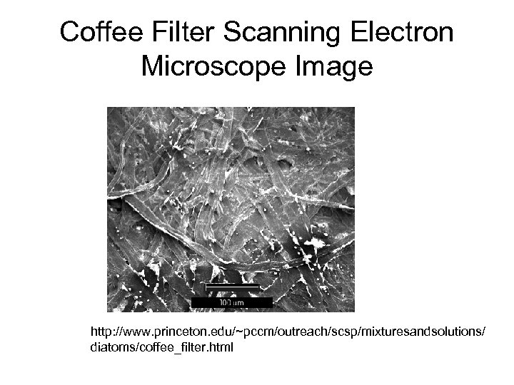 Coffee Filter Scanning Electron Microscope Image http: //www. princeton. edu/~pccm/outreach/scsp/mixturesandsolutions/ diatoms/coffee_filter. html 