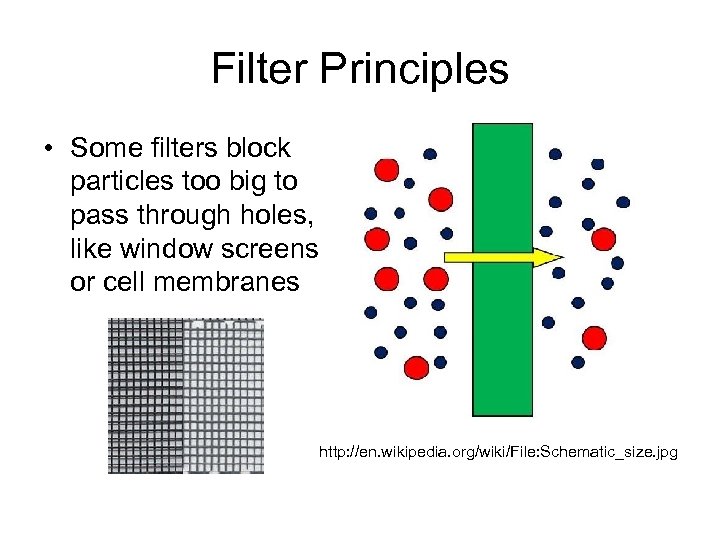 Filter Principles • Some filters block particles too big to pass through holes, like