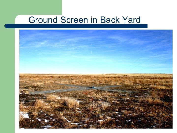 Ground Screen in Back Yard 