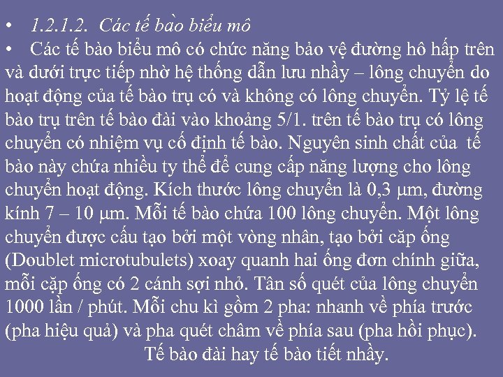  • 1. 2. Các tế ba o biểu mô • Các tế bào