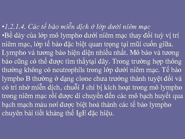  • 1. 2. 1. 4. Các tế bào miễn dịch ở lớp dưới