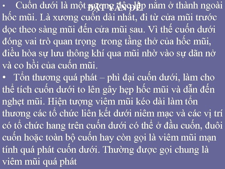 Cuốn dưới là một ĐĂ T V N ĐÊ nằm ở thành ngoài xương