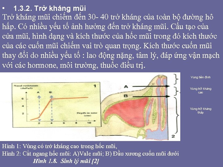  • 1. 3. 2. Trở kháng mũi chiếm đến 30 - 40 trở