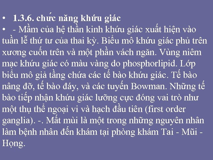  • 1. 3. 6. chư c năng khứu giác • - Mầm của