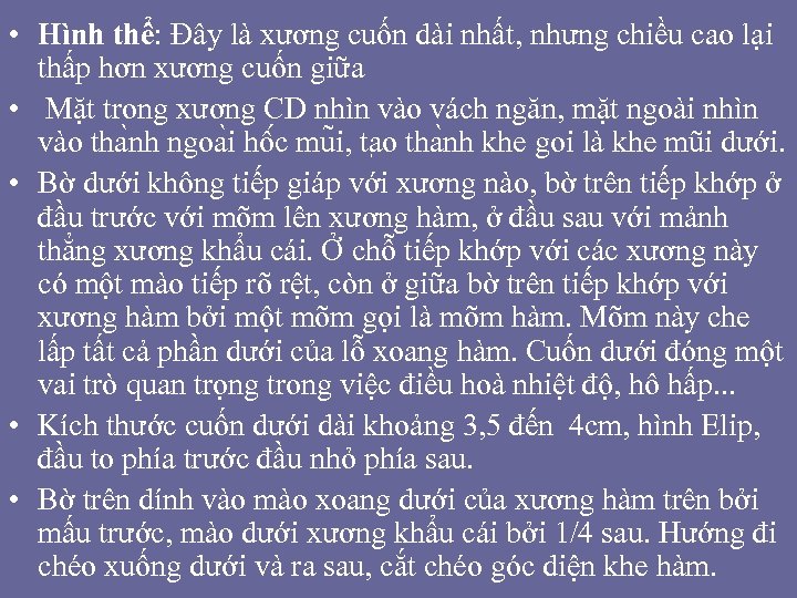  • Hình thể: Đây là xương cuốn dài nhất, nhưng chiều cao lại