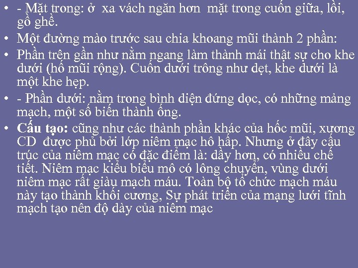  • - Mặt trong: ở xa vách ngăn hơn mặt trong cuốn giữa,