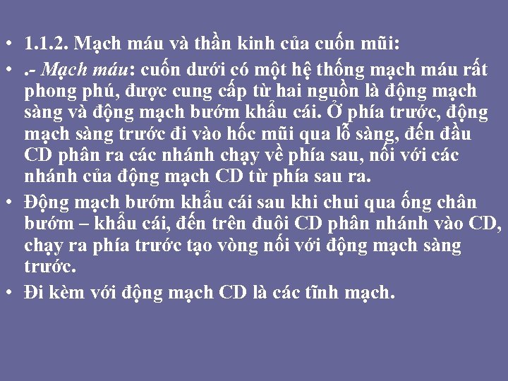  • 1. 1. 2. Mạch máu và thần kinh của cuốn mũi: •