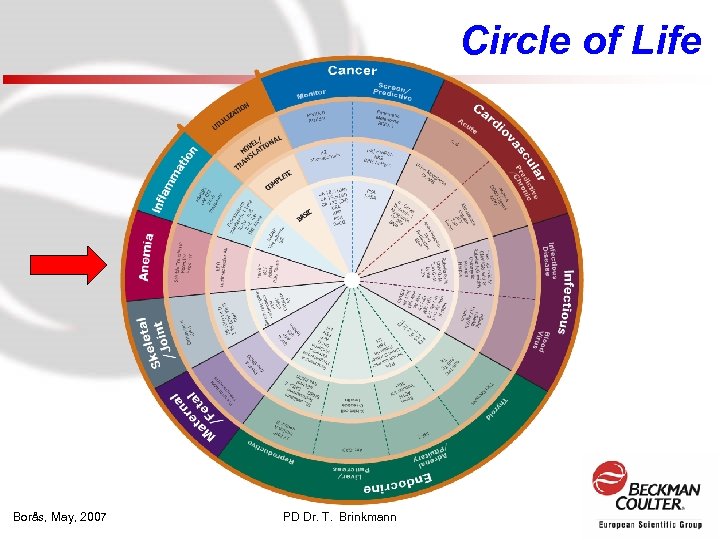 Circle of Life Borås, May, 2007 PD Dr. T. Brinkmann 