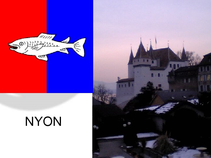 NYON Borås, May, 2007 PD Dr. T. Brinkmann 