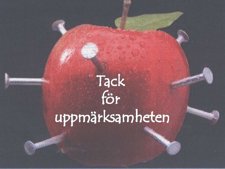 Tack för uppmärksamheten Borås, May, 2007 PD Dr. T. Brinkmann 