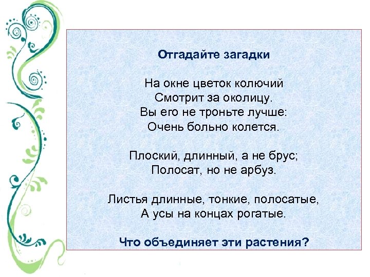 Отгадайте загадки На окне цветок колючий Смотрит за околицу. Вы его не троньте лучше: