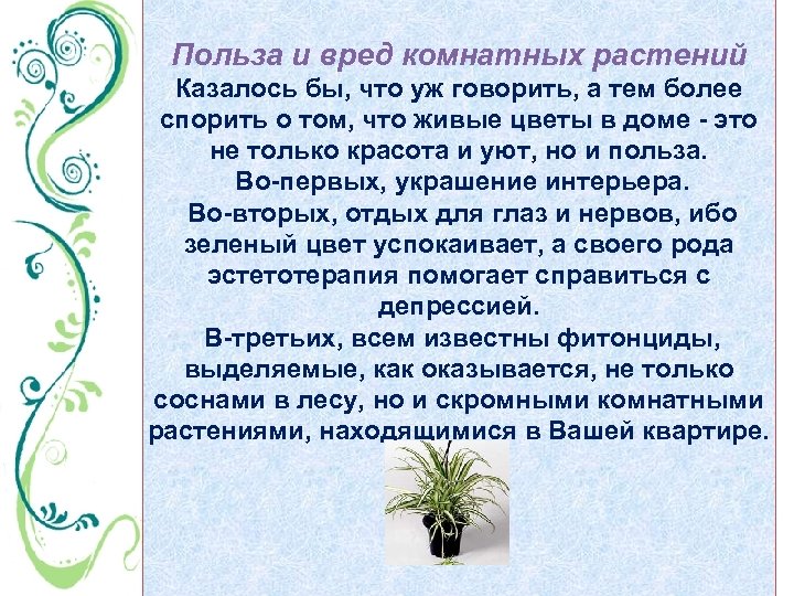 Польза и вред комнатных растений Казалось бы, что уж говорить, а тем более спорить