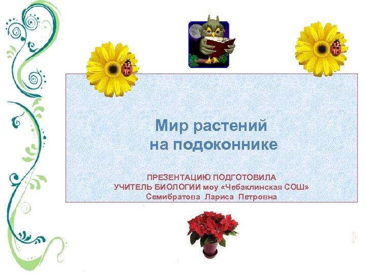 Мир растений на подоконнике ПРЕЗЕНТАЦИЮ ПОДГОТОВИЛА УЧИТЕЛЬ БИОЛОГИИ моу «Чебаклинская СОШ» Семибратова Лариса Петровна