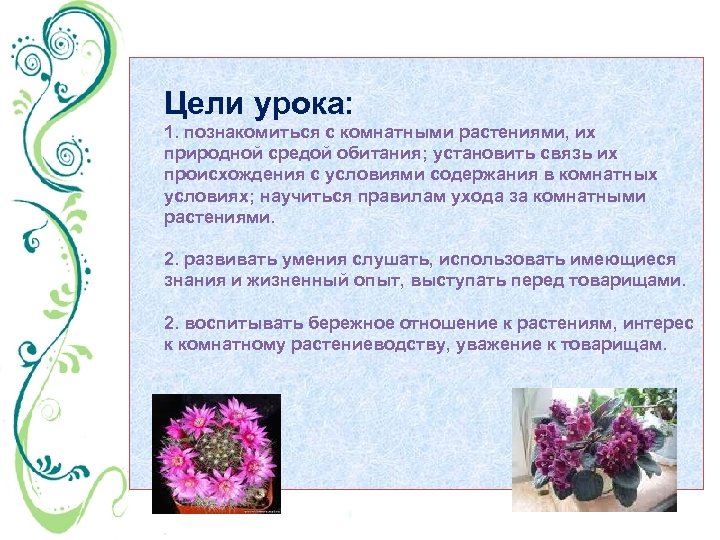 Цели урока: 1. познакомиться с комнатными растениями, их природной средой обитания; установить связь их