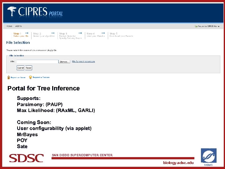 Portal for Tree Inference Supports: Parsimony: (PAUP) Max Likelihood: (RAx. ML, GARLI) Coming Soon: