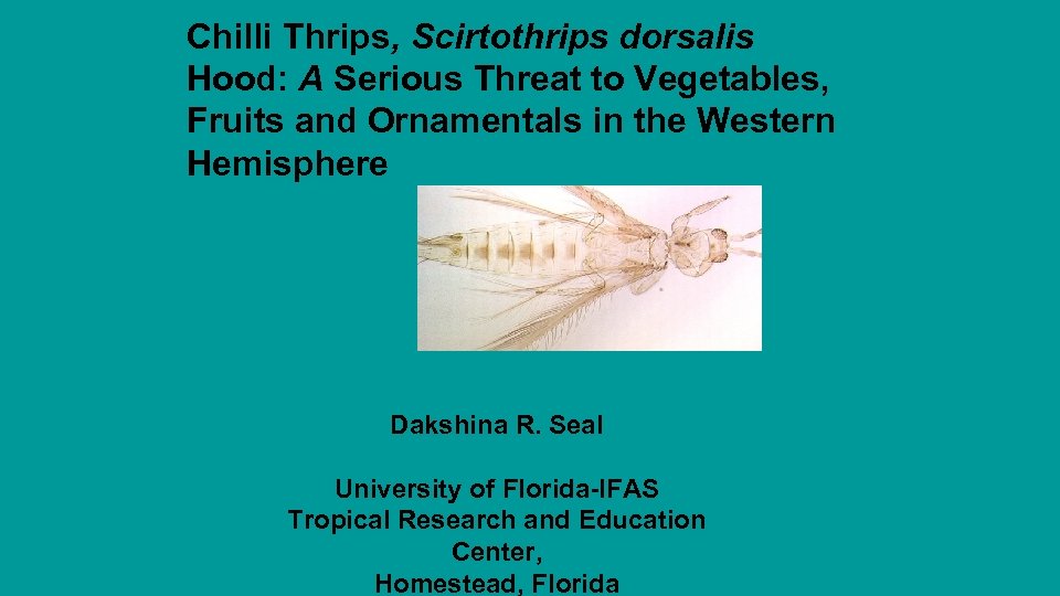 Chilli Thrips, Scirtothrips dorsalis Hood: A Serious Threat to Vegetables, Fruits and Ornamentals in