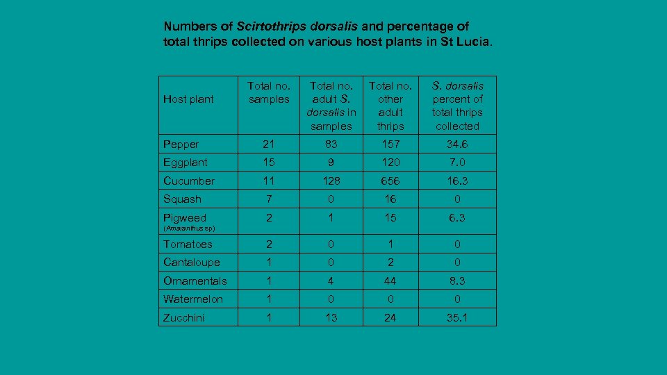 Numbers of Scirtothrips dorsalis and percentage of total thrips collected on various host plants