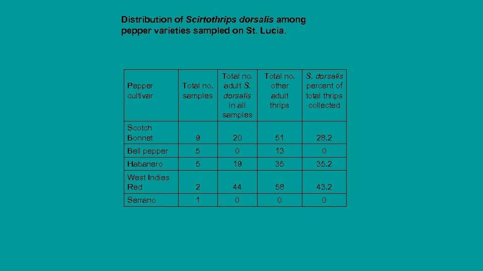 Distribution of Scirtothrips dorsalis among pepper varieties sampled on St. Lucia. Pepper cultivar Total