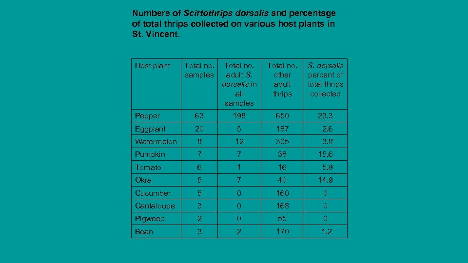 Numbers of Scirtothrips dorsalis and percentage of total thrips collected on various host plants