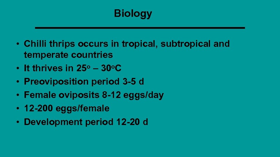 Biology • Chilli thrips occurs in tropical, subtropical and temperate countries • It thrives